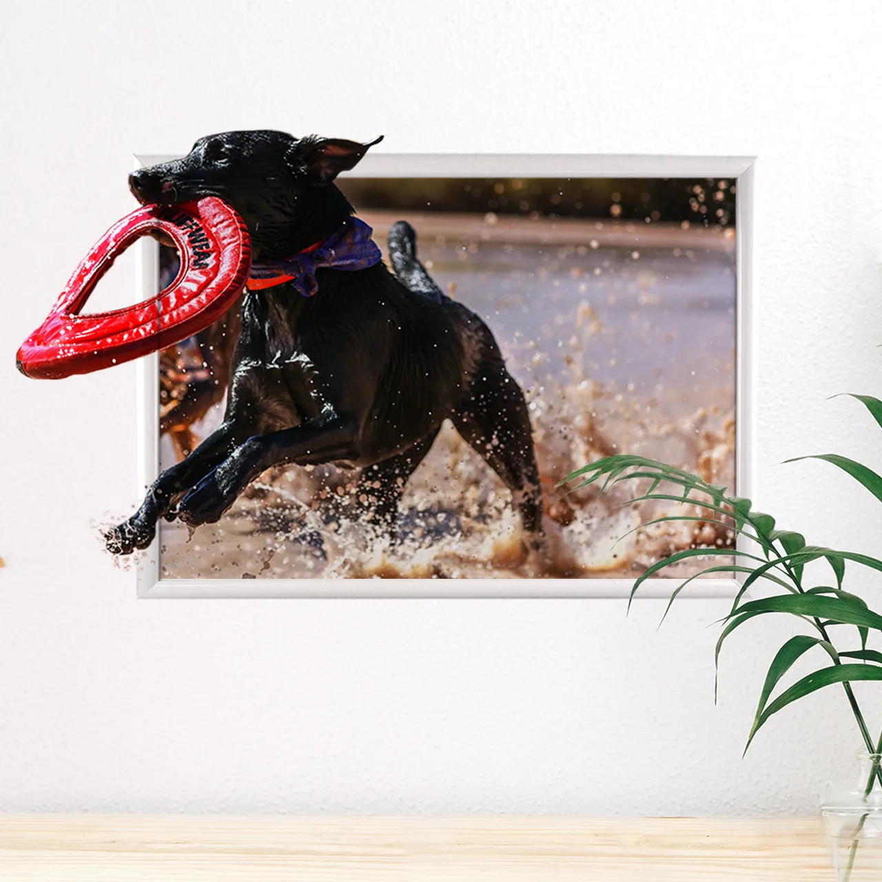 High-quality photo printing – easy, fast and great value Easily print your photos online – via desktop or with the user-friendly app. Quick, smooth and stress-free.